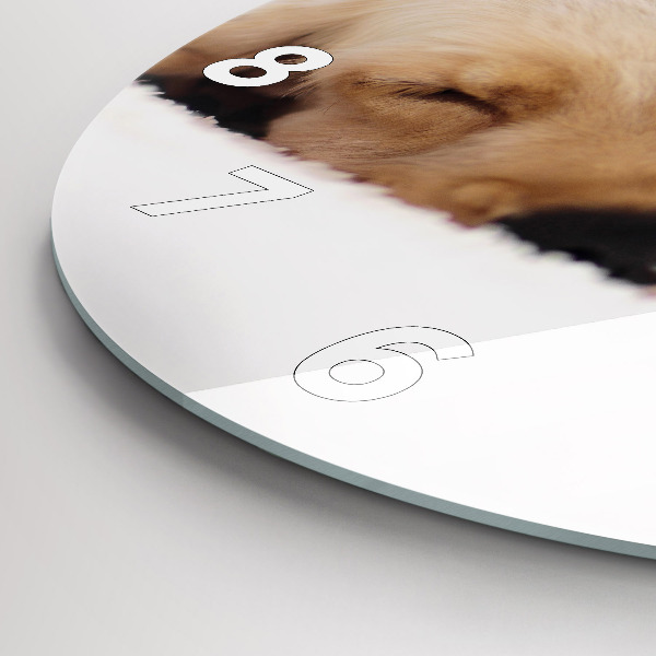 Kerek fali üvegóra Alvó macska és kutya