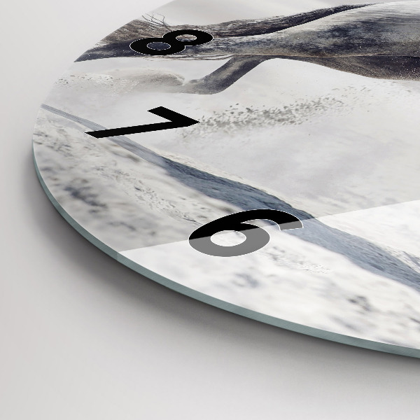 Kerek fali üvegóra Vágtázó fehér ló