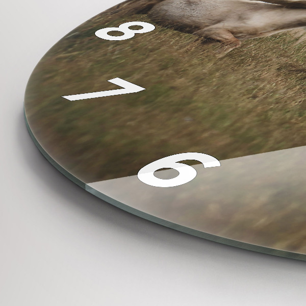 Kerek fali üvegóra Lovak vágtában