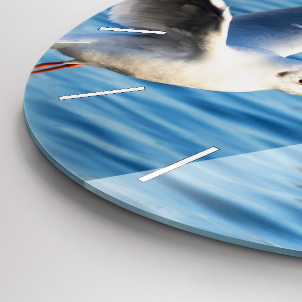 Kerek fali üvegóra Sirályok Gdyniában