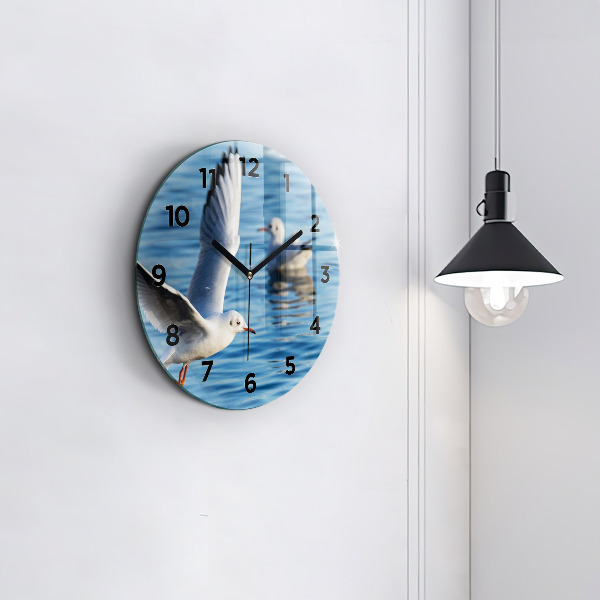 Kerek fali üvegóra Sirályok Gdyniában