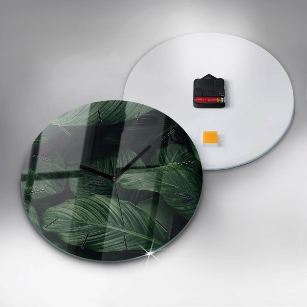 Kerek fali üvegóra Trópusi szörny