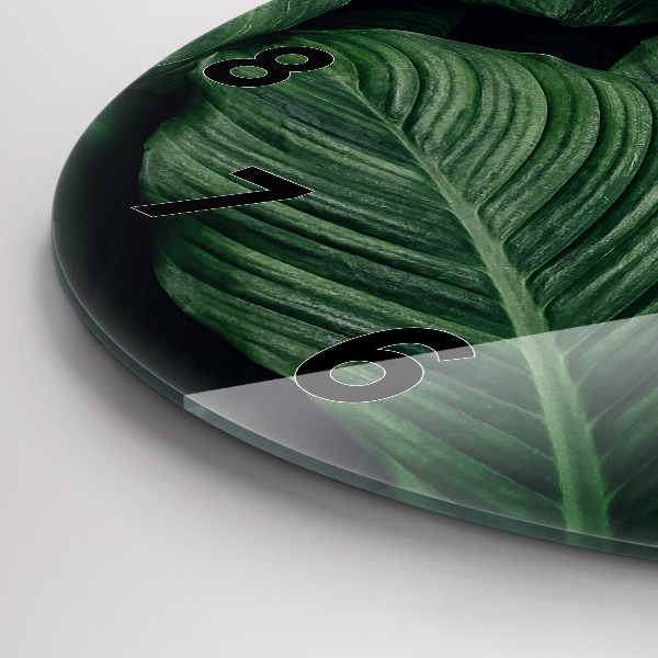 Kerek fali üvegóra Trópusi szörny