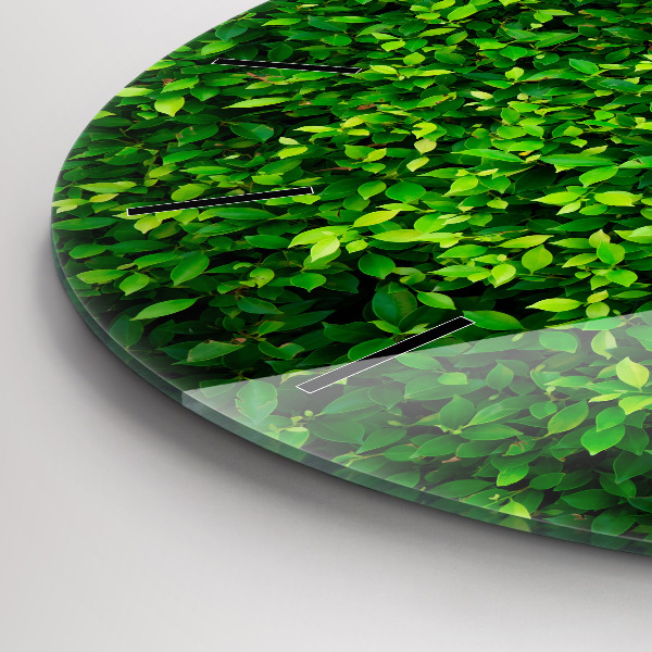 Kerek fali üvegóra Sövénylevelek