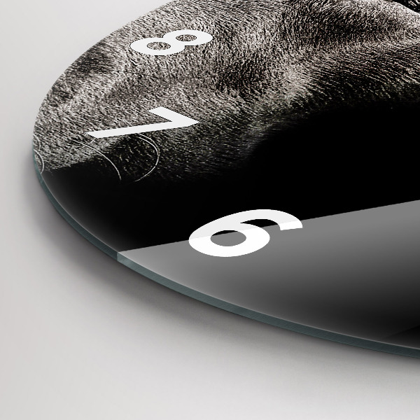 Kerek fali üvegóra Scottish Fold kutya és macska